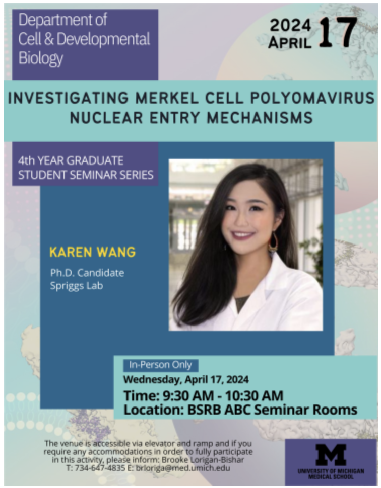 CDB Graduate Seminar Flyer for Karen Wang Presenting 