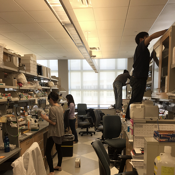 Lab Members Cleaning