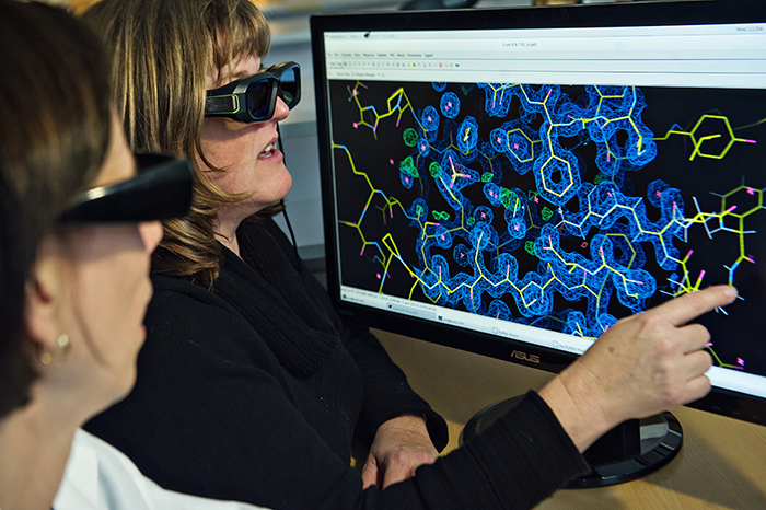 Scientists looking at 3-D structures on a screen