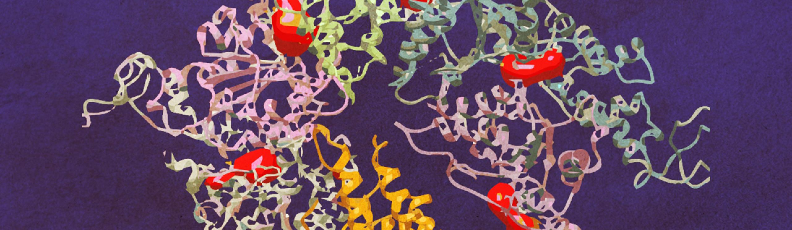 Colorful abstract proteins