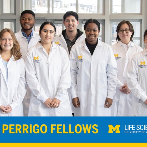 Group photo of the 2023 Perrigo Undergraduate Summer Fellows