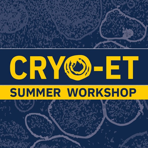 Cryo-electron tomogram on a navy background with text: Cryo-ET Data Processing Workshop. June 9-13, 2024