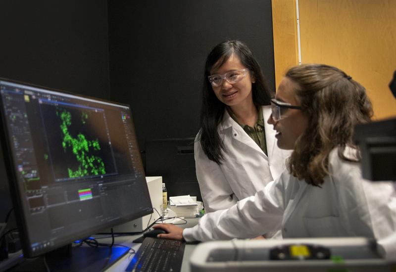 Wenjing Wang and Kayla Kroning view cell imaging from a confocal micrscop