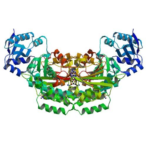 Structure of AprA Methyltransferase 2 - GNAT didomain in complex with SAH