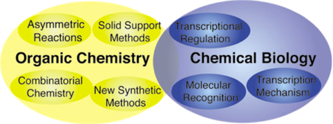 Venn diagram of organic chemistry and chemical biology overlap