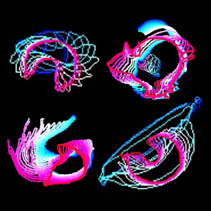 Colored pattern images showing movement of mice (top right, bottom left) and Drosophila larva (top left, bottom right) on a black background