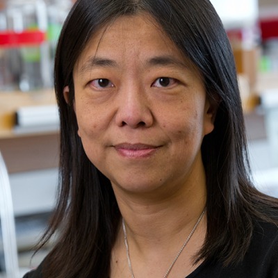 portrait of Vivian Cheung, M.D.

