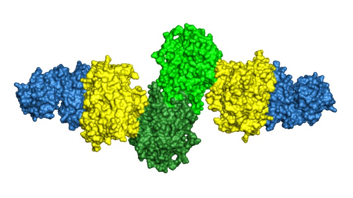 X-ray crystallography structure of three enzymes from a module of the "assembly line" that bacteria use to build polyketides